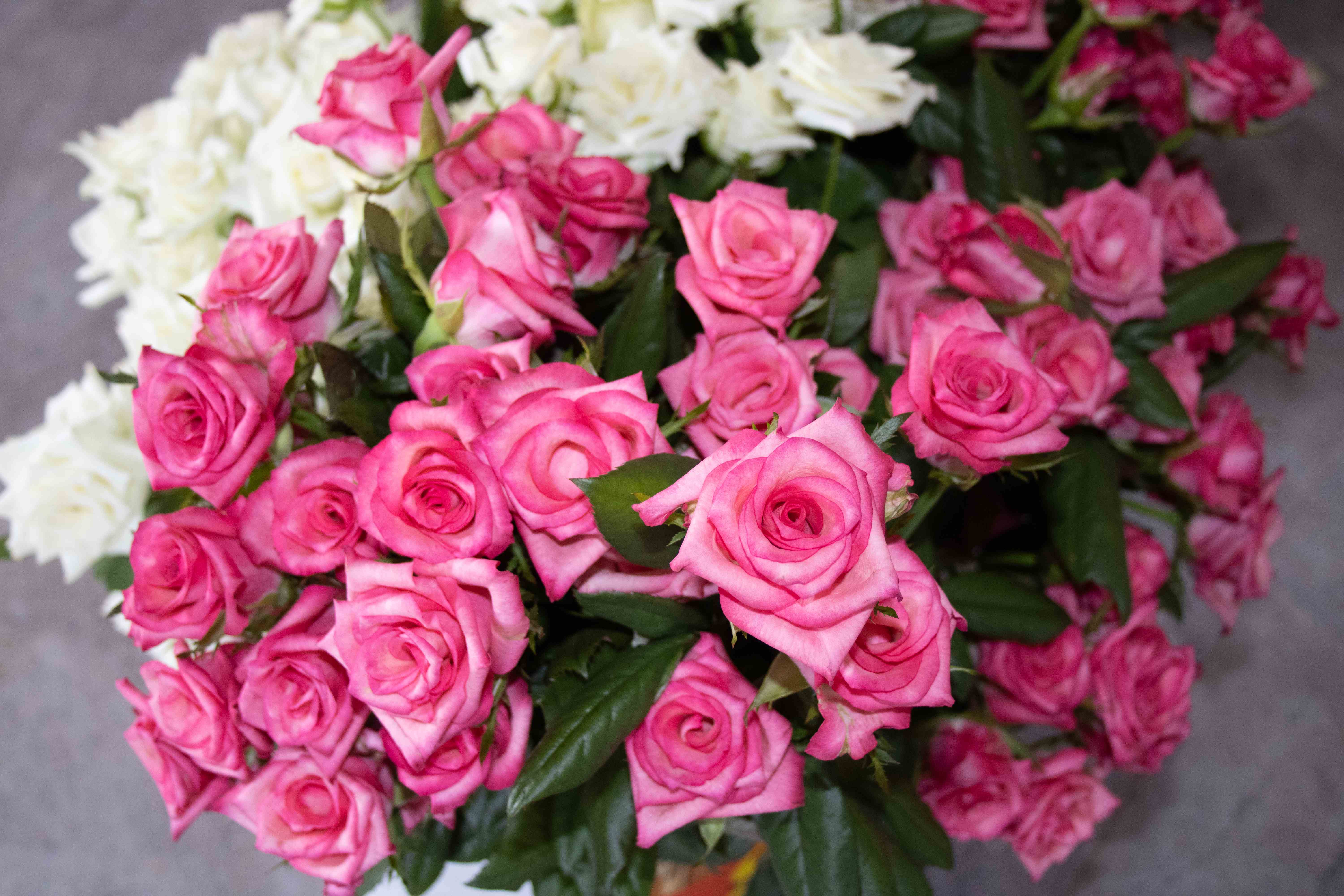 Mixed of blooms
