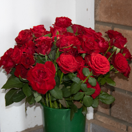 PopUp Flower